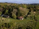Glampsite with Bell Tents, Yurt & Woodland Cabin